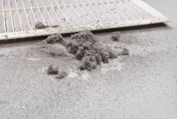 Best Best Air Duct Cleaning Company  in Shreve, OH