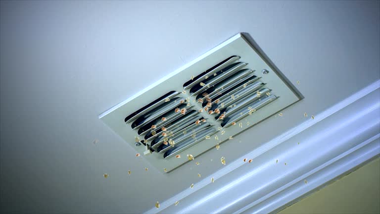 Best Commercial Air Duct Cleaning  in Shreve, OH